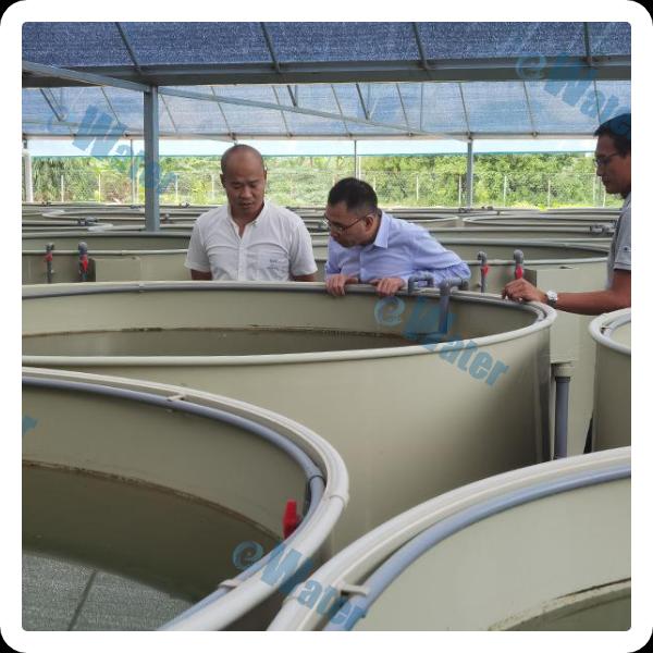 The Cost-effectiveness of RAS Fish Farming Versus Traditional Practices