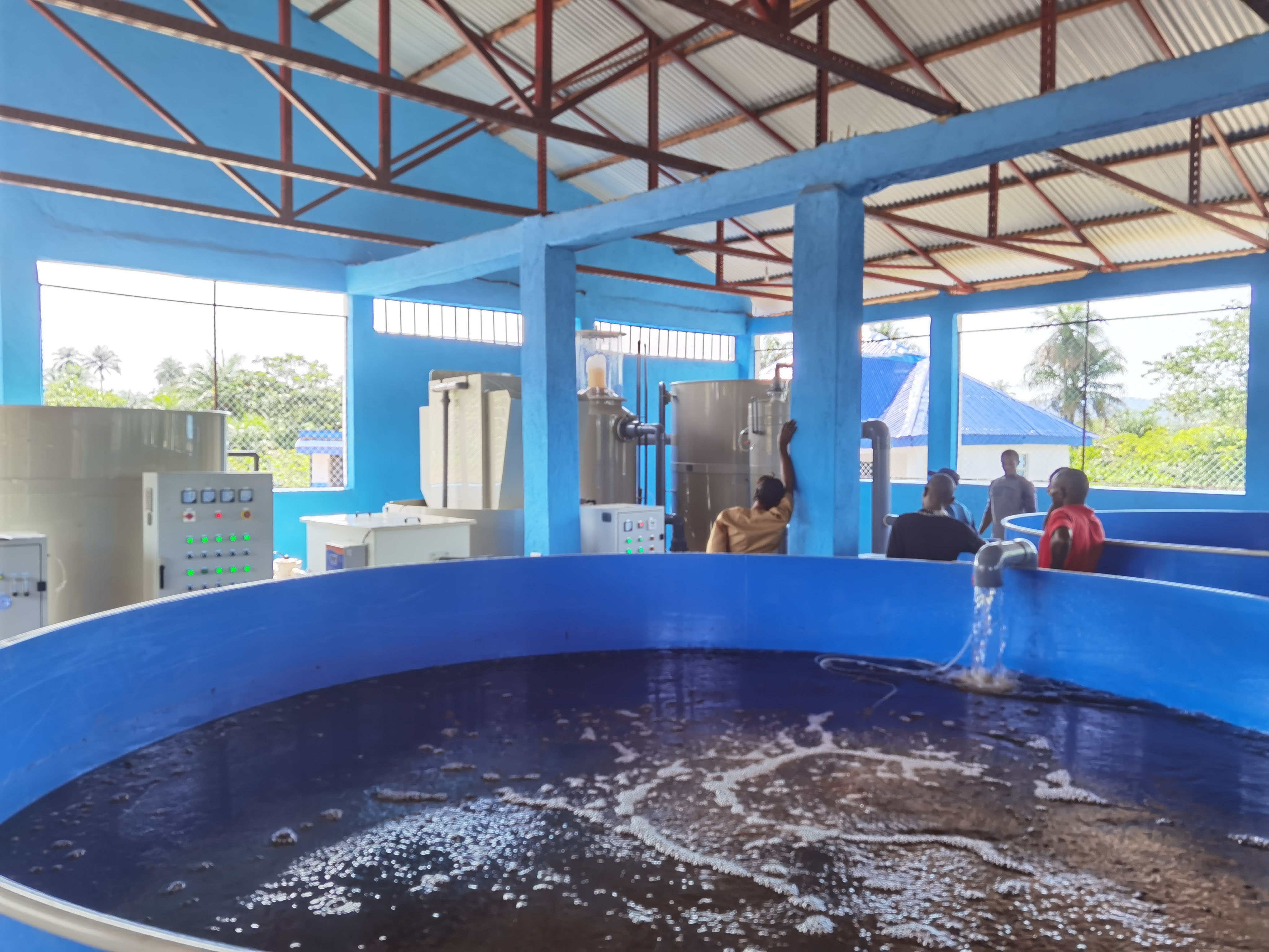 eWater RAS Full Mini Recirculating Aquaculture System details