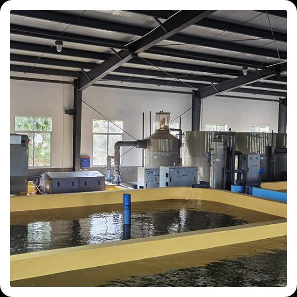 The essentials of managing a recirculating aquaculture system