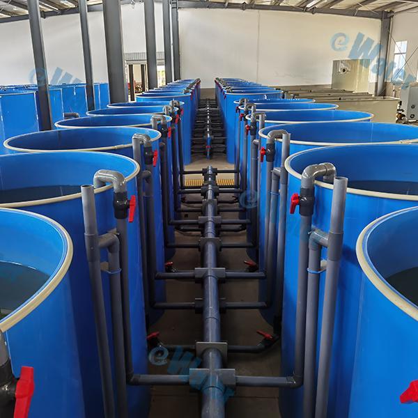 Koi Pond Filters Quality And Service