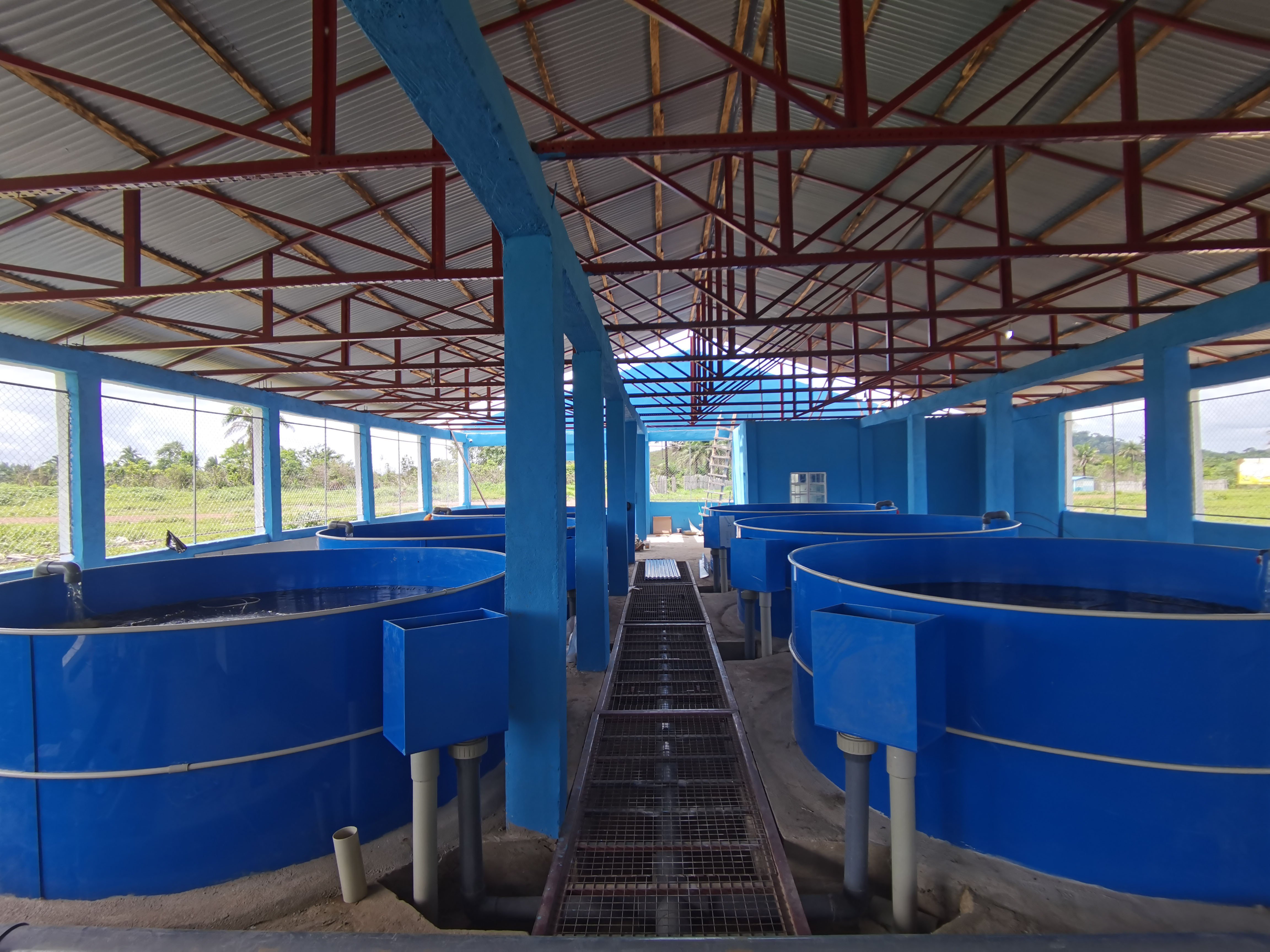 eWater RAS Full Mini Recirculating Aquaculture System supplier