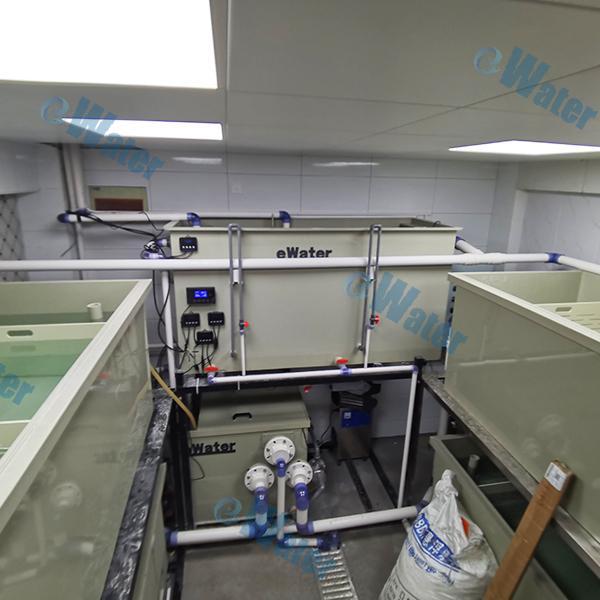 Cost-Effective and Efficient Fish Farm Bio Filters