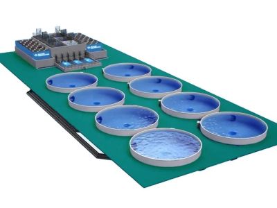 Maximizing Efficiency: How Recirculating Aquaculture Systems Revolutionize Fish Farming