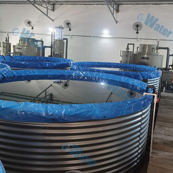 Safety of RAS In Fish Farming