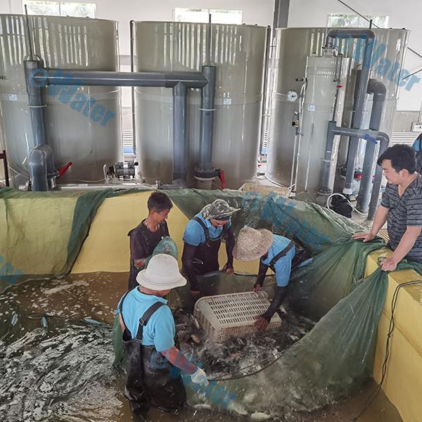 Safety of Rotary Drum Vacuum Filtration