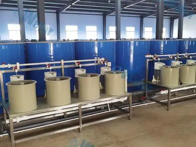 Why Closed-Loop Aquaculture Systems Prevent Wild Stock Contamination