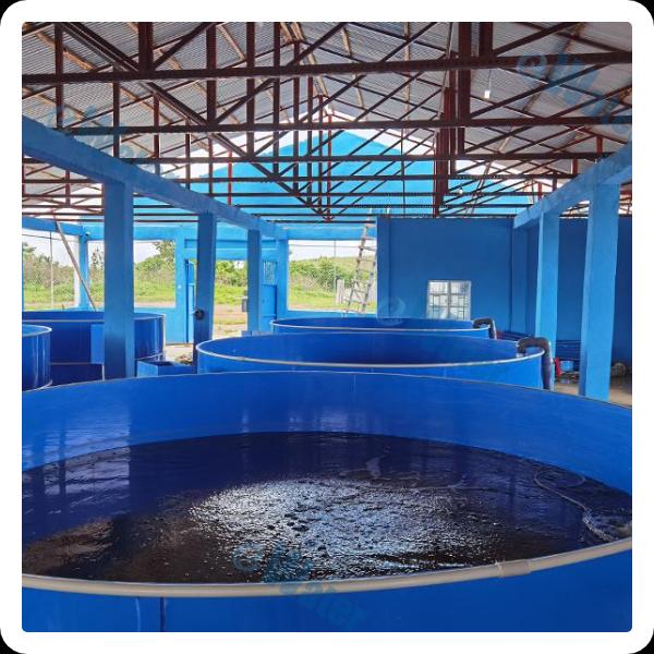 Aquaculture Filter Uses