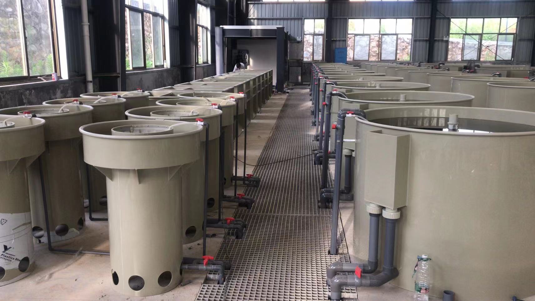 Intensive RAS Fish Farming For Land-based Pond Fish Farm factory