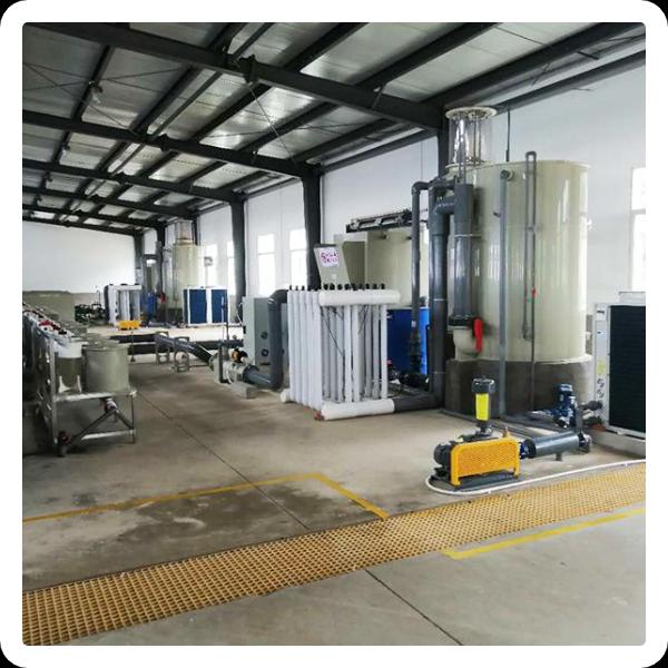Innovation behind the RAS System in Aquaculture
