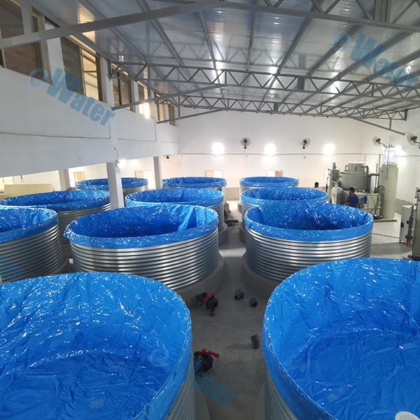 How to build a successful indoor shrimp farming business