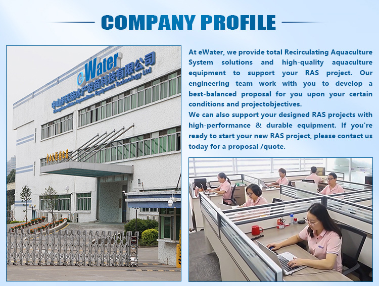 RAS Intensive Recirculating Aquaculture System for Indoor Farming details