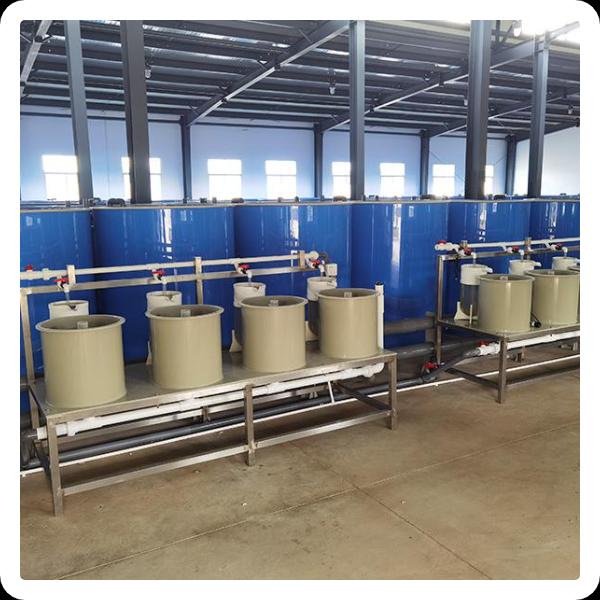 Economic benefits of aquaculture and aquaponics