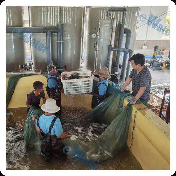 The Versatility of Fish Farms