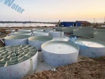 The Modular Recirculating Aquaculture System Engineered for Urban Farms