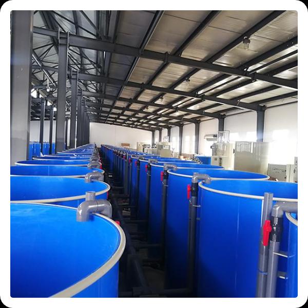Why Choose Our Products