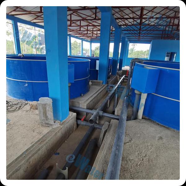 A Closer Look at RAS Filtration Systems