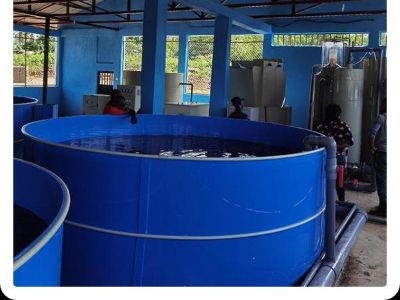 How to Balance Gas Exchange in Closed-Loop RAS Facilities