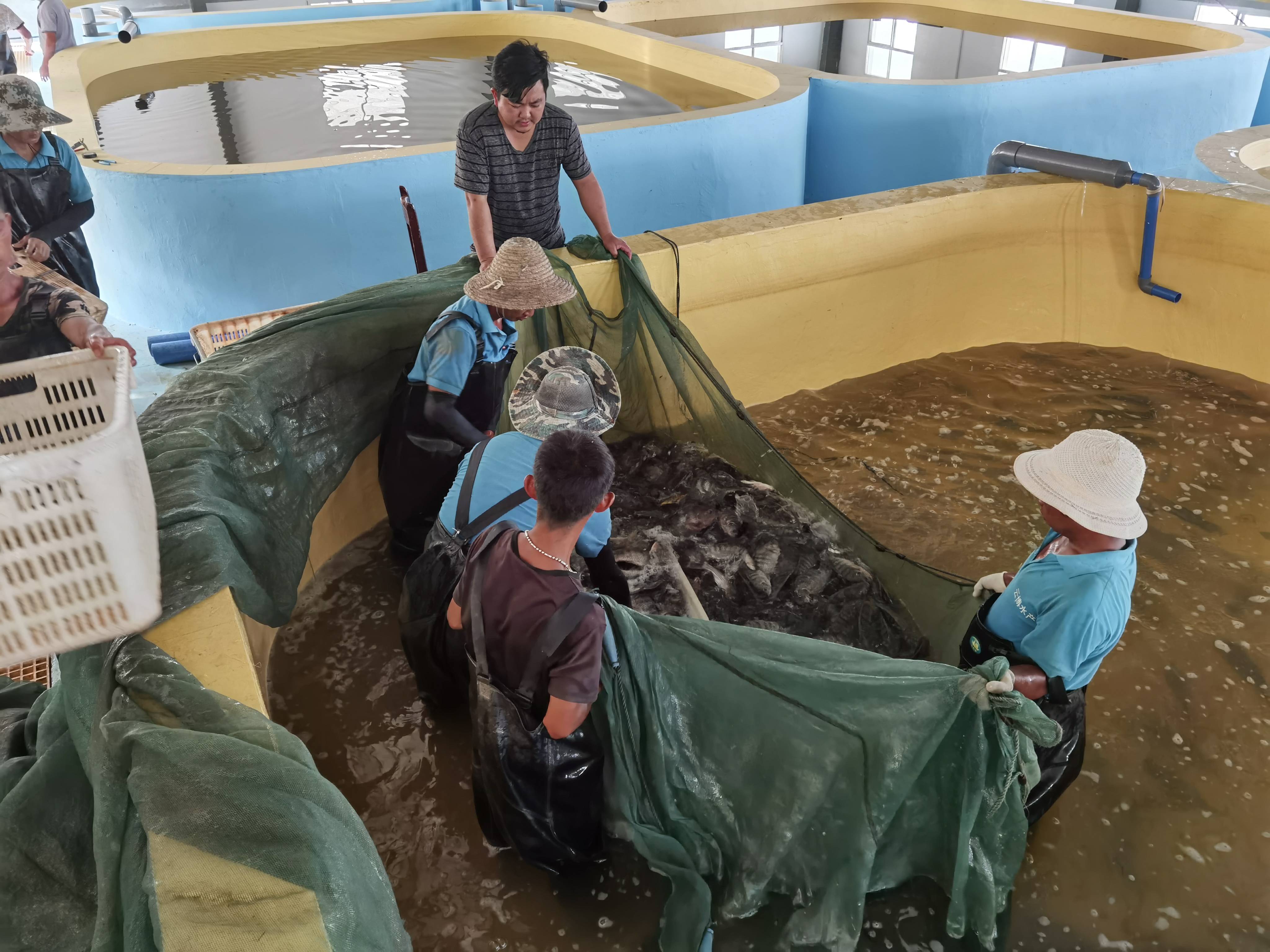 Recirculating Aquaculture System manufacture