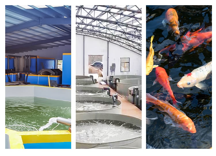 Aquaculture Water Rotary Drum Filter For Fish And Shrimp Equip RAS System supplier