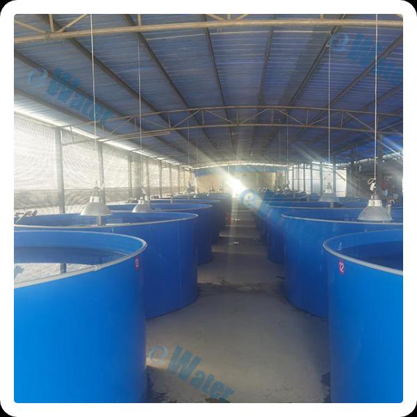 Incorporation of Modern Technology into Fish Hatcheries