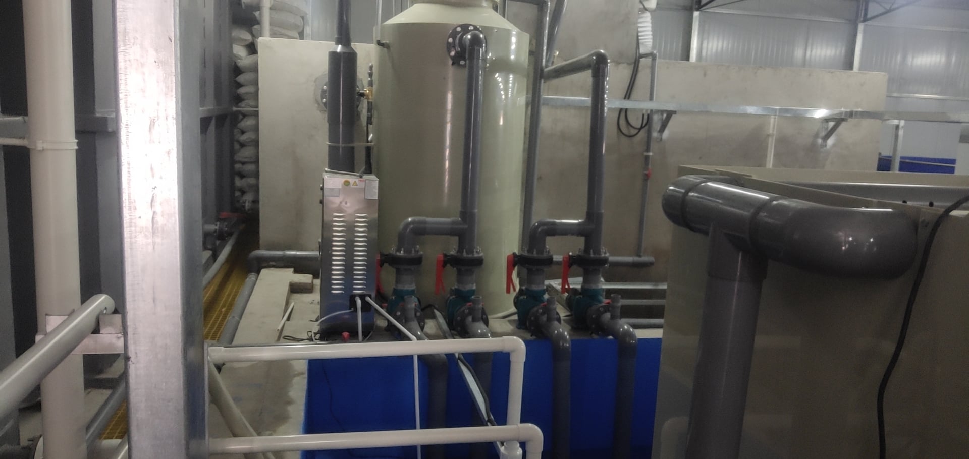 Intensive RAS Fish Farming For Land-based Pond Fish Farm supplier