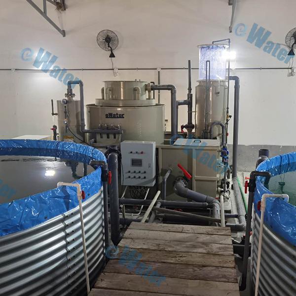 Use of RAS System Fish