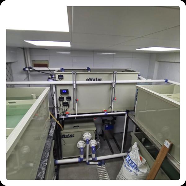 Optimize Fish Health and Growth with Bio Filter Systems