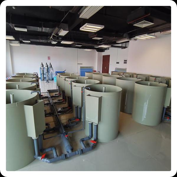 Advantages of Continuous Rotary Filter