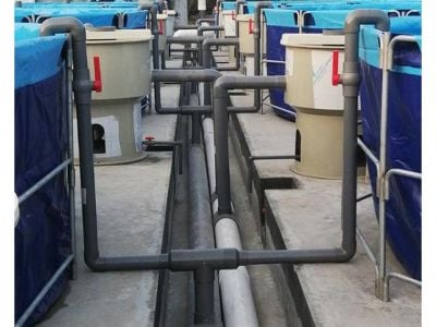 How Automation and Data Analytics Are Shaping the Future of Aquaculture?