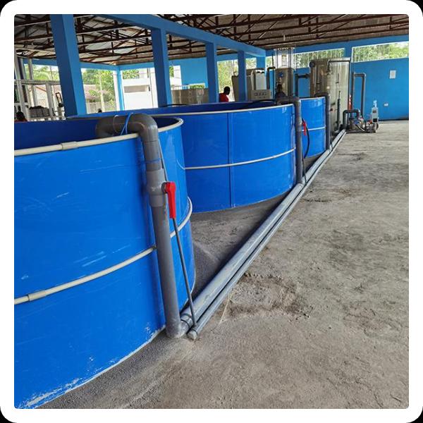 Innovation in Salt Water Protein Skimmers