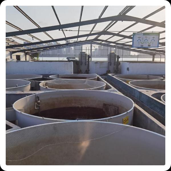 Advanced Aquaculture Technology For Improving And Making More Money