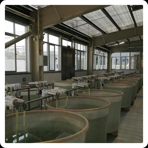Fish Farm Water Disinfection