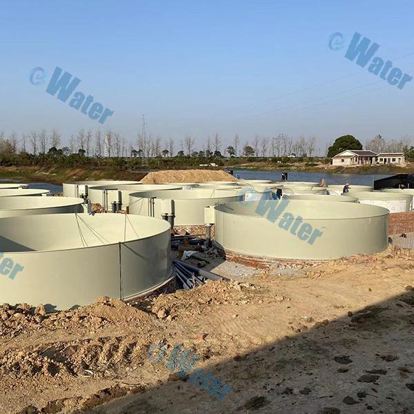 Maximizing fish production using ras technology