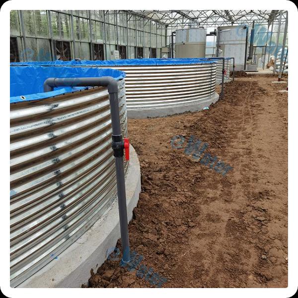 Revolutionizing Water Filtration with Aquaponic Bio Filter Technology
