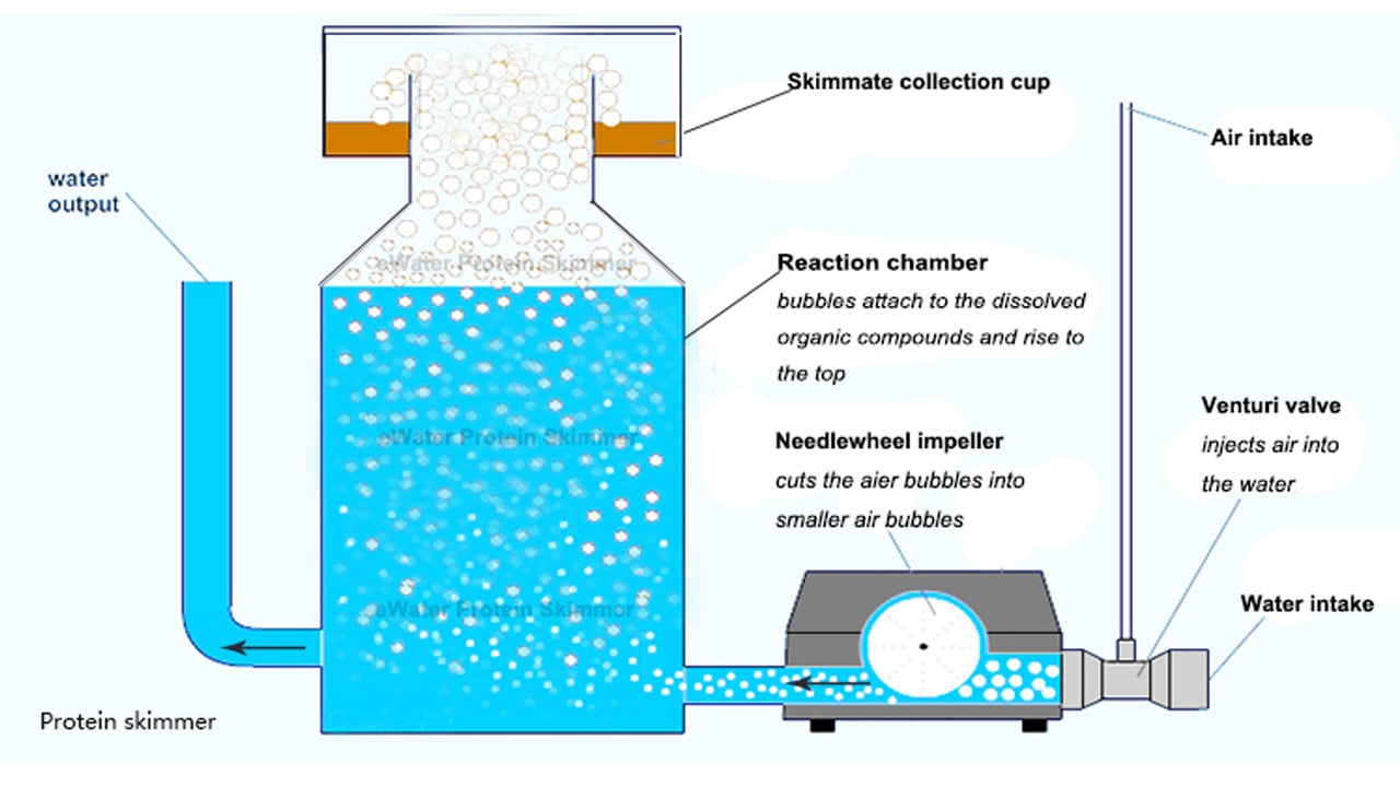 Protein Skimmer for aquafarm manufacture