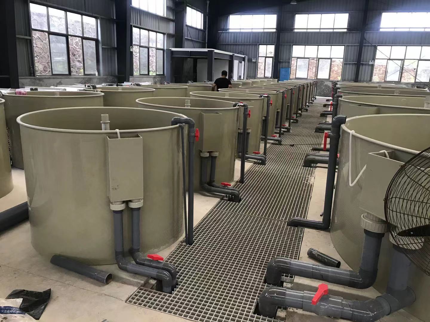Intensive RAS Fish Farming For Land-based Pond Fish Farm supplier