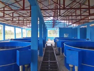 What Makes Land-Based Aquaculture Systems Highly Biosecure