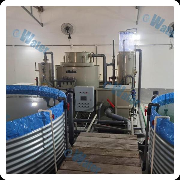RAS System Fish-Service and Quality