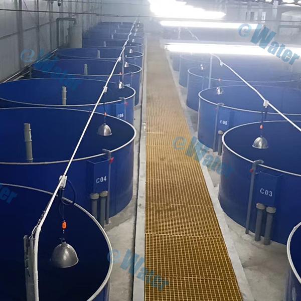 Innovation of the RAS Water System