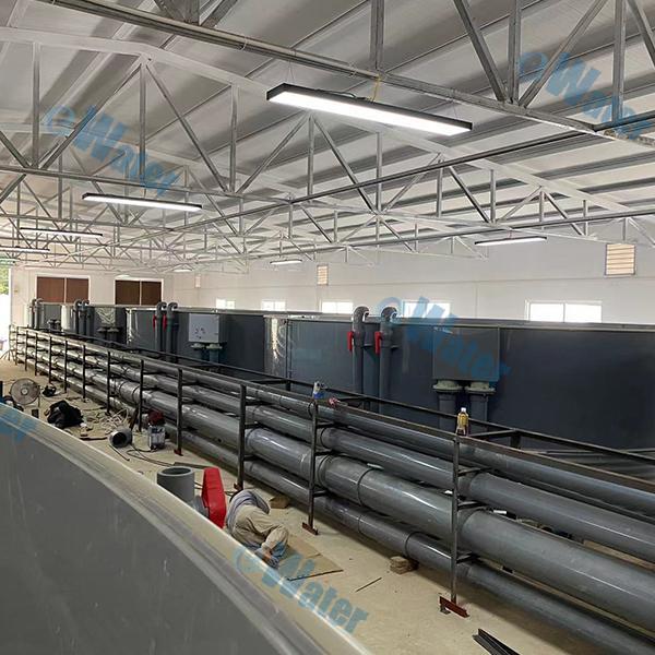 How to Promote Environmental Sustainability in Catfish Farming