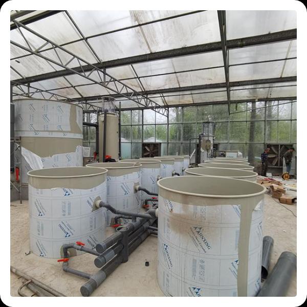 Best 3 rotary vacuum disc filter supplier in Turkey