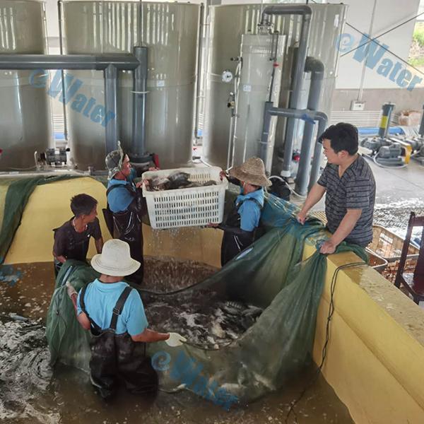 Fish farm safety