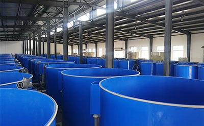Intensive Fish Growing Aquaculture Systems factory