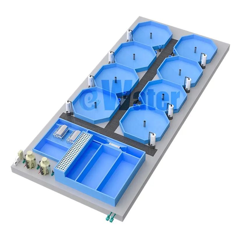 Recirculating Aquaculture System
