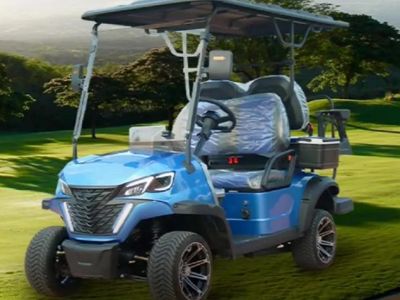 Produttore di Carri da Golf ALF: Progettato per prestazioni e durata