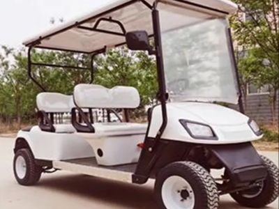 Esplorare le opzioni di personalizzazione disponibili per i veicoli ALF golf cars