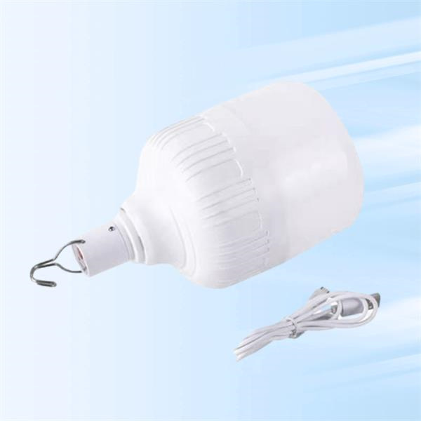 Rechargeable Emergency Light Bulbs for Camping and Outdoor Adventures.
