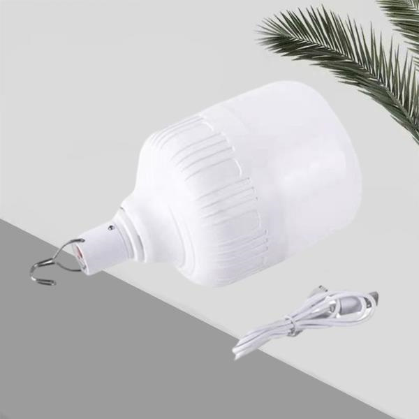 Rechargeable Emergency Light Bulbs for Roadside Emergencies.