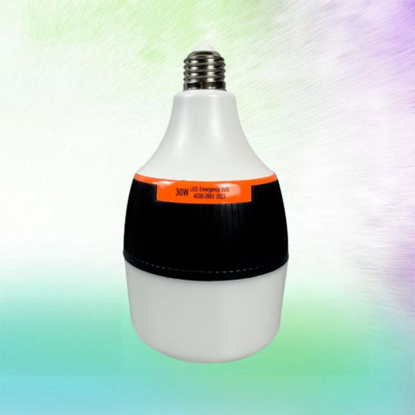 LED Torch Bulbs for Every Occasion