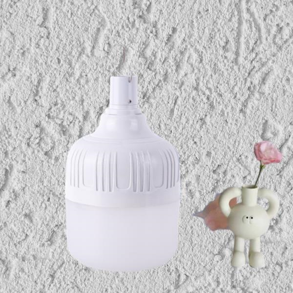 Rechargeable Emergency Light Bulbs for Eco-Friendly Lifestyles.